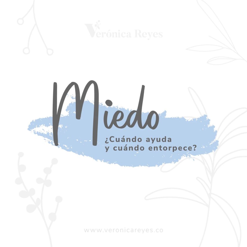 Miedo